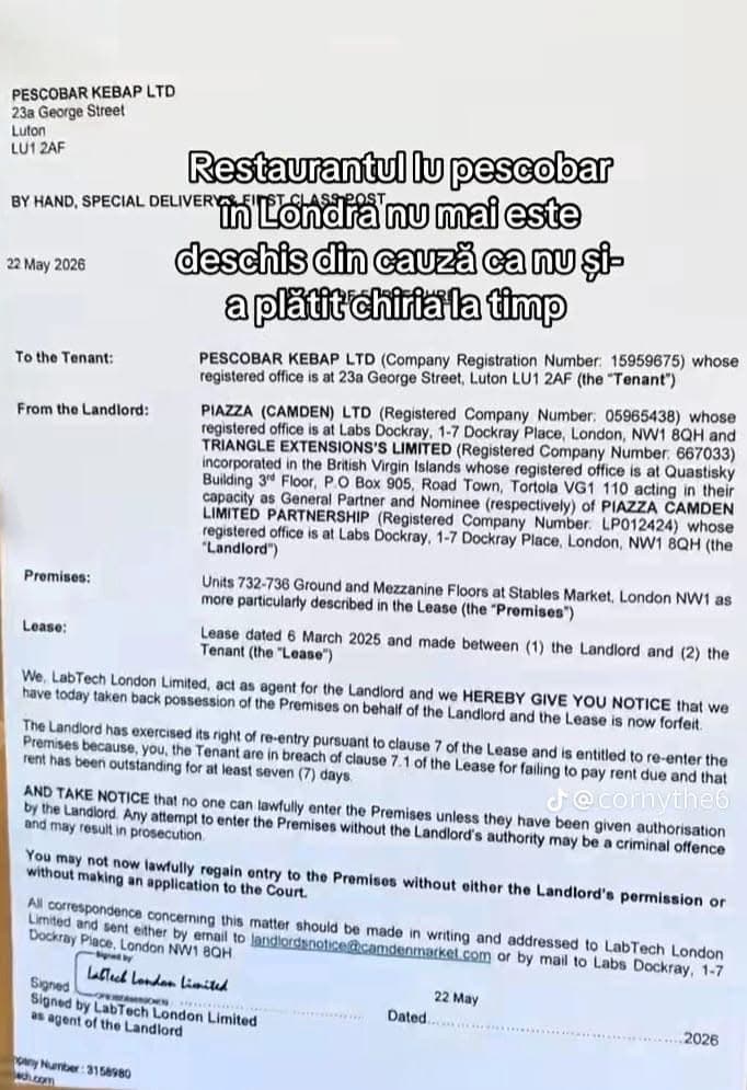 Pescobar din Camden Market: Notificare oficială de re-entry – O lecție importantă despre expansiunea internațională